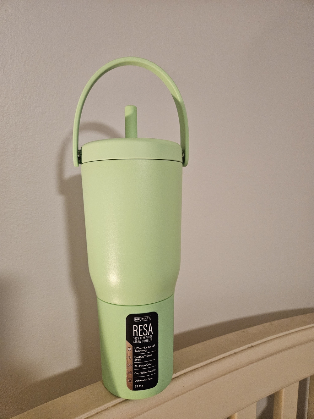 RESA Lime Green Insulated Tumbler with Carry Handle and Straw